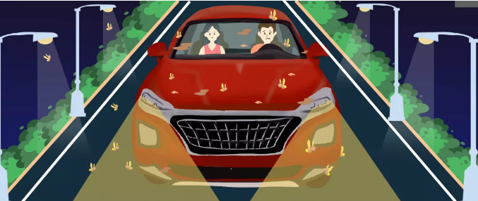 安全清除車(chē)身飛蟲(chóng)，僅需十分鐘